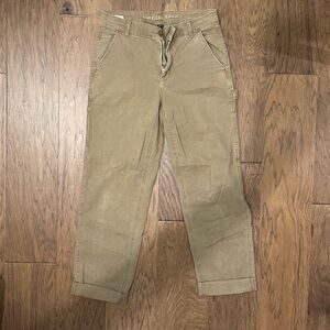 American Eagle Outfitters Men's Brown Cargo Pants